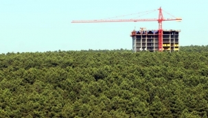 Saraydan peş peşe satış kararları! Çok sayıda ilde kamu arazileri "parsel parsel" satılıyor...