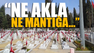 AKPli belediye, mermerler kirleniyor diye ağaç kesti