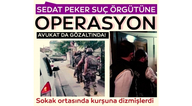 Sedat Peker suç örgütüne operasyon! Gözaltılar var...