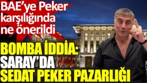 Bomba iddia. Sarayda Sedat Peker pazarlığı