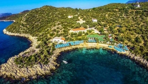 Son Torbadan kimlere piyango çıktı? Deniz kıyısındaki ormanlık alanlara tesis yapılabilecek