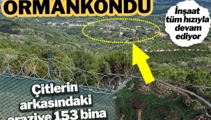 Milyar Dolarlık Rant ! Kuzey Ormanları Kuşatması: 153 blok, 657 konut daha…