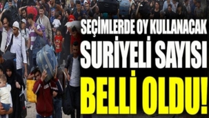 Süleyman Soylu Suriyeli seçmen sayısını açıkladı