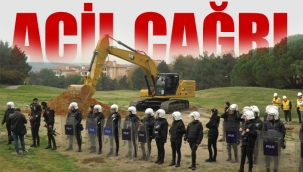 Kemerköy'deki talanda asırlık ağaçlar katlediliyor...