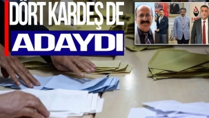Dört kardeş, farklı siyasi partilerden milletvekili adayı olmuştu, sadece birinin yüzü güldü